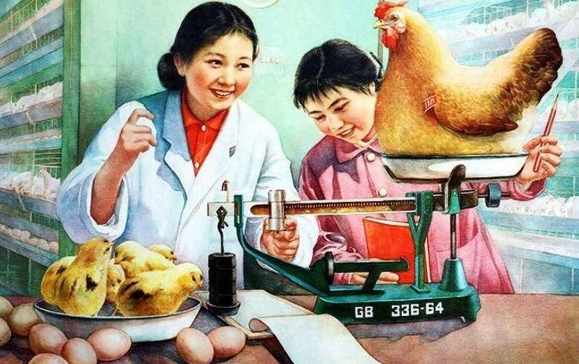 过程：8人围坐成一桌桌上放盆大锅饭ag真人平台第一游戏70年代用餐全(图10)